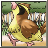 Avatar de l’utilisateur