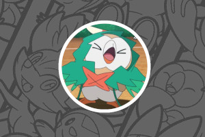 [Podcast] Interview avec Brybry de Pokébip !
